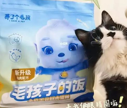 粮！三只松鼠靠什么重返宠物食品赛道开元棋牌app零食巨头盯上毛孩子口(图1)
