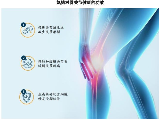 ：扎根运动健康赛道凭多元布局赢长远未来开元棋牌appHMB全球龙头技源集团(图3)