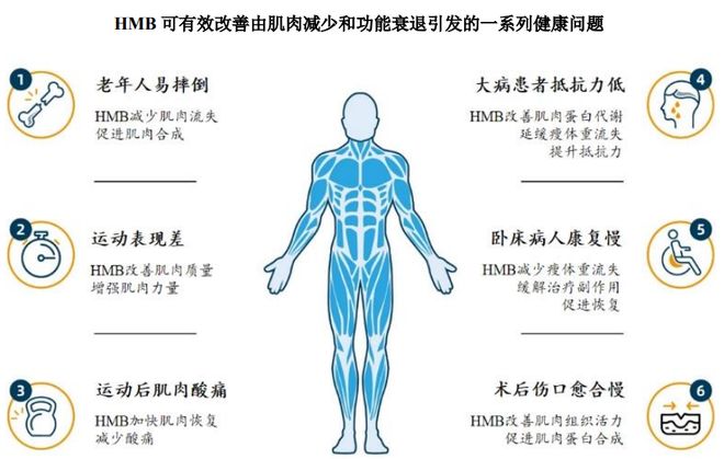 ：扎根运动健康赛道凭多元布局赢长远未来开元棋牌appHMB全球龙头技源集团(图7)