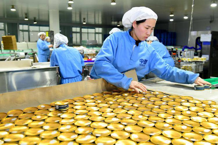 宠物粮就有三袋产自山东开元棋牌网站全国每十袋(图3) 宠物粮就有三袋产自山东开元棋牌网站全国每十袋(图3)