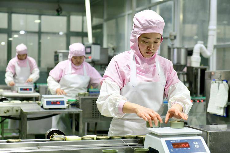 宠物粮就有三袋产自山东开元棋牌网站全国每十袋(图2) 宠物粮就有三袋产自山东开元棋牌网站全国每十袋(图2)