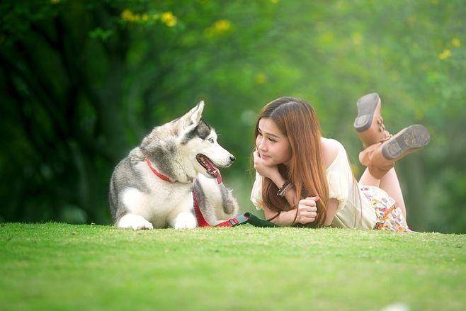 链分析：现状、痛点、需求、趋势开元棋牌app宠物食品行业产业(图1)