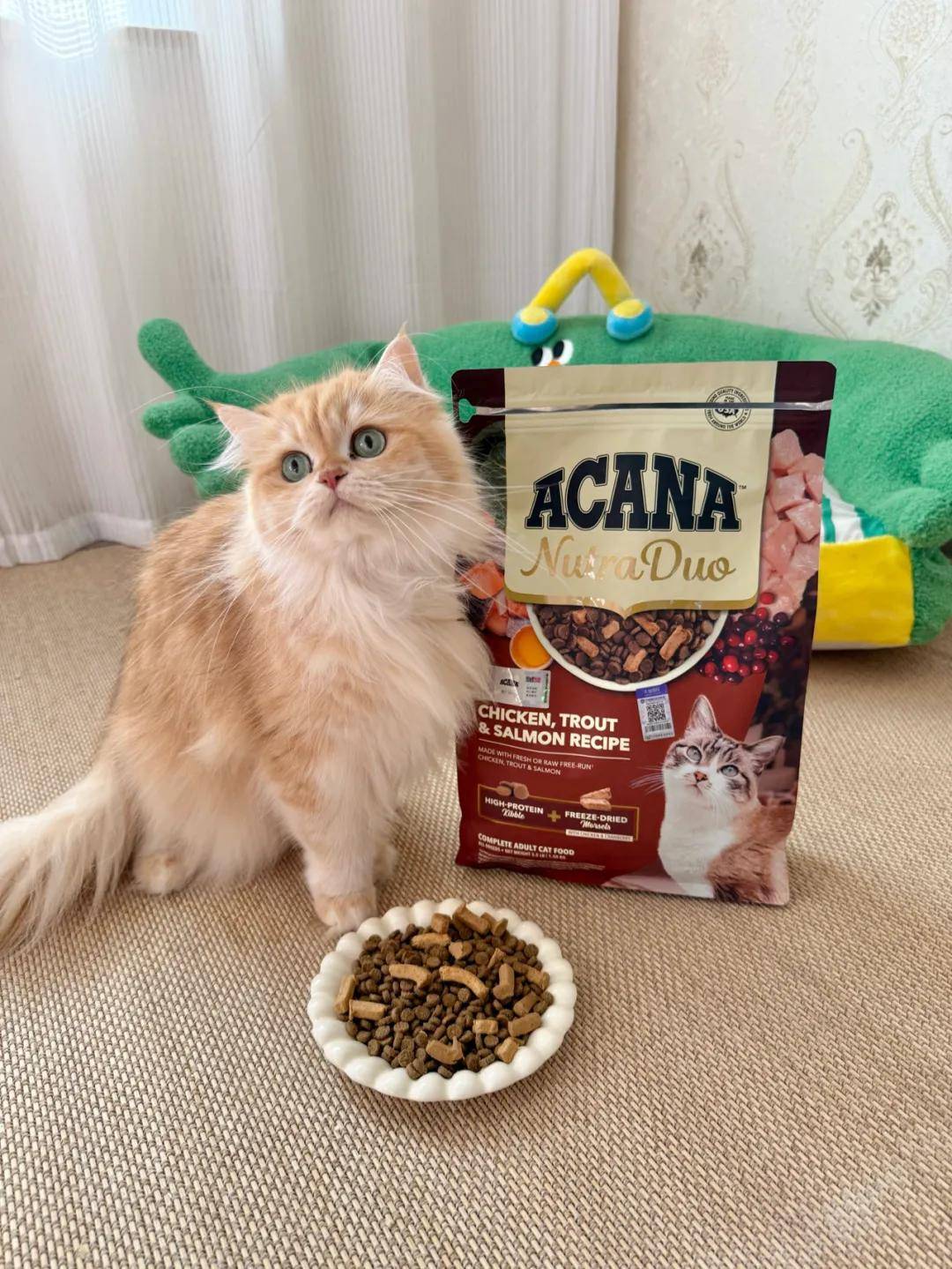 国上市高端宠粮加码“日常养护”开元棋牌爱肯拿双拼倍护宠粮中(图4)