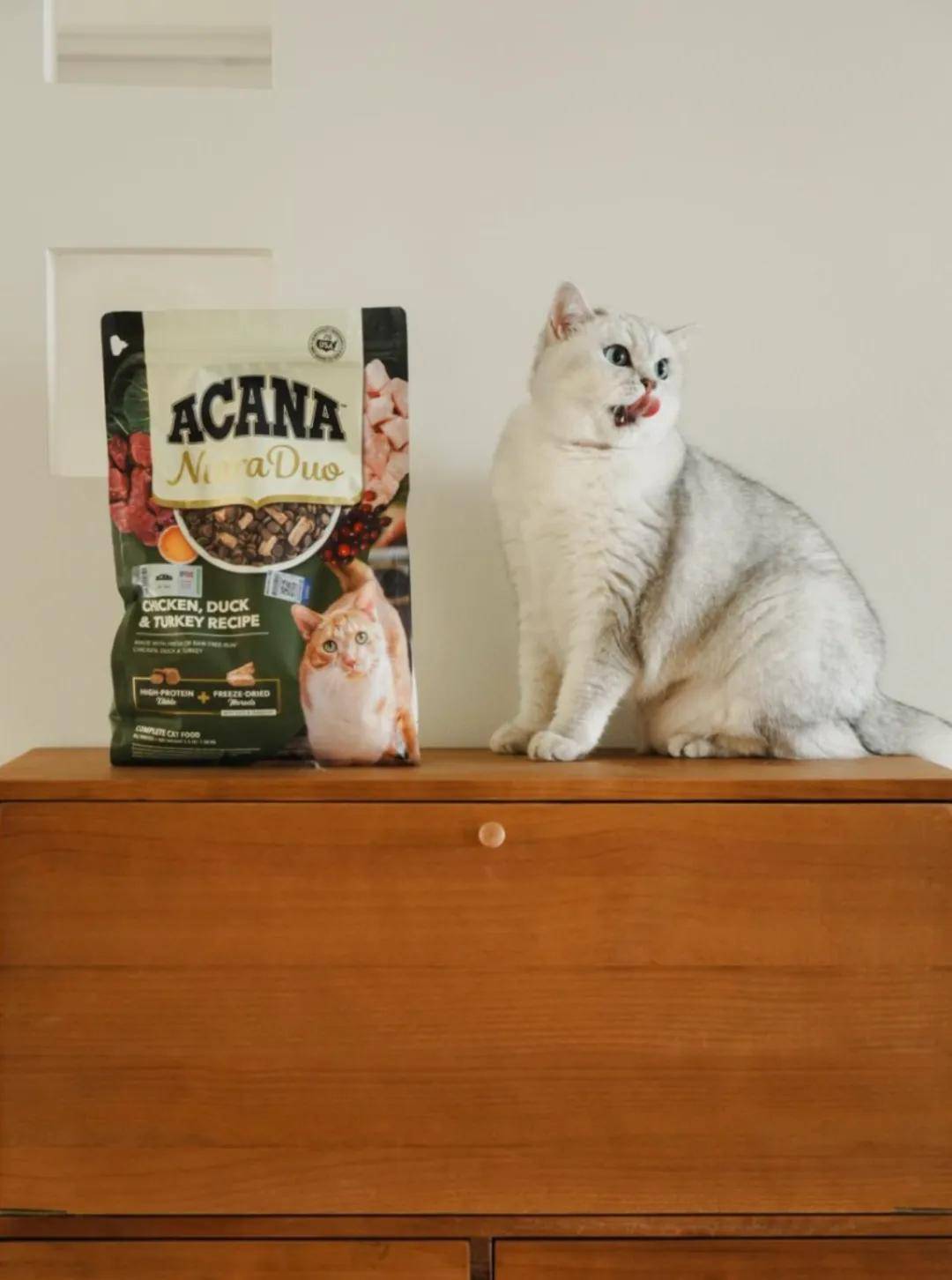 国上市高端宠粮加码“日常养护”开元棋牌爱肯拿双拼倍护宠粮中(图5)